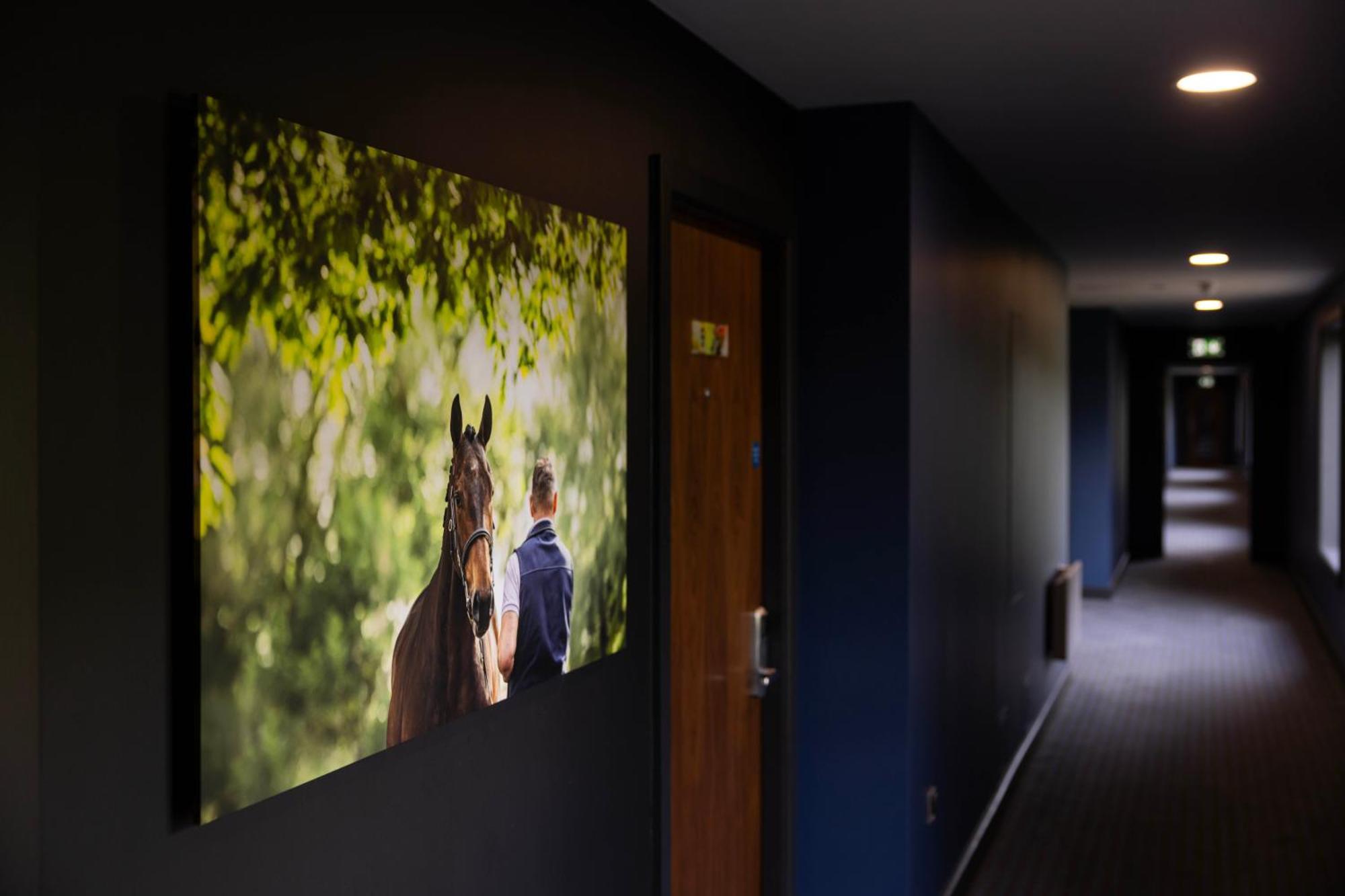 The Club Hotel At Goffs Naas Exteriér fotografie